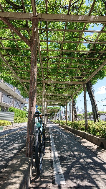f:id:jabsport17:20190617154016j:image f:id:jabsport17:20190617154016j:image