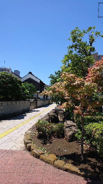 f:id:jabsport17:20190617230451j:image f:id:jabsport17:20190617230451j:image
