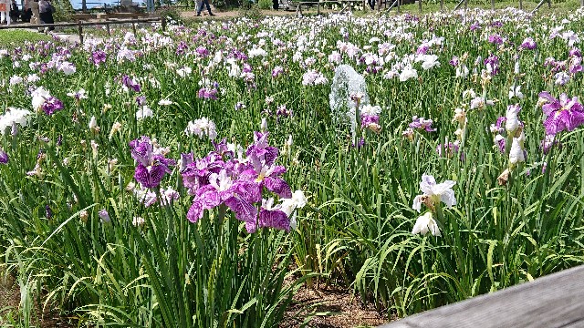 f:id:jabsport17:20190617231124j:image f:id:jabsport17:20190617231124j:image