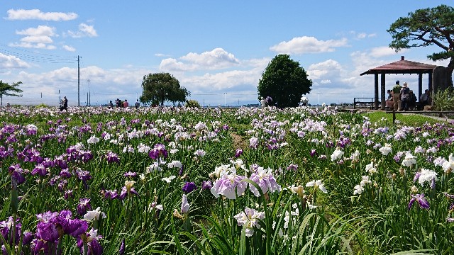 f:id:jabsport17:20190617231140j:image f:id:jabsport17:20190617231140j:image