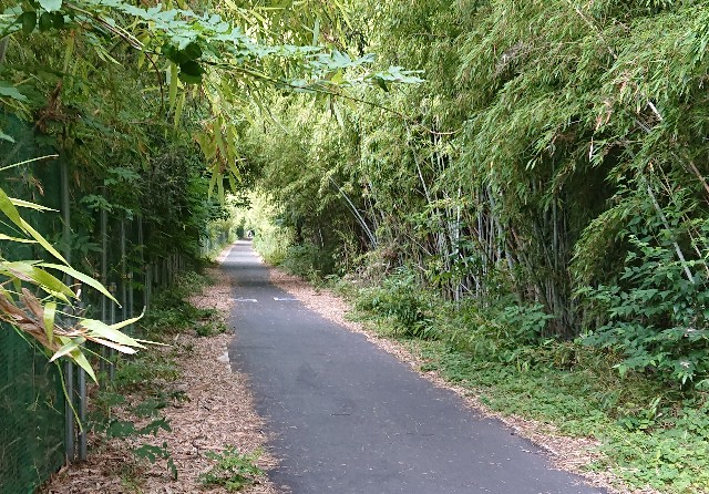 f:id:jabsport17:20190625013252j:image f:id:jabsport17:20190625013252j:image