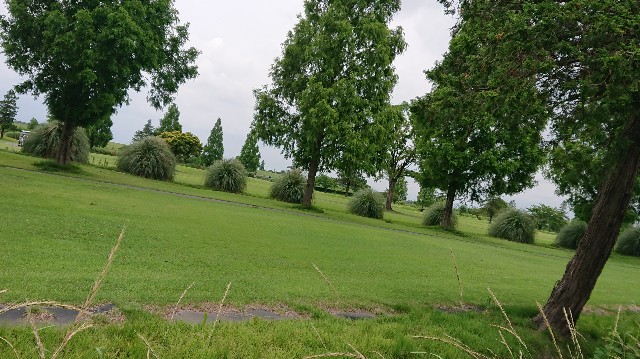 f:id:jabsport17:20190625013315j:image f:id:jabsport17:20190625013315j:image