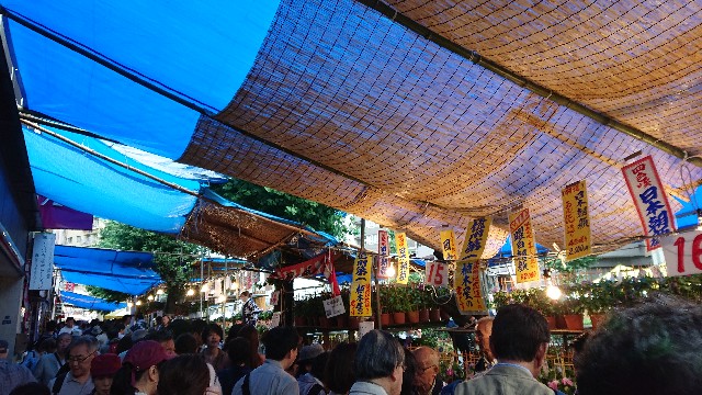 f:id:jabsport17:20190709112846j:image f:id:jabsport17:20190709112846j:image
