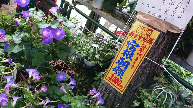f:id:jabsport17:20190709112948j:image f:id:jabsport17:20190709112948j:image