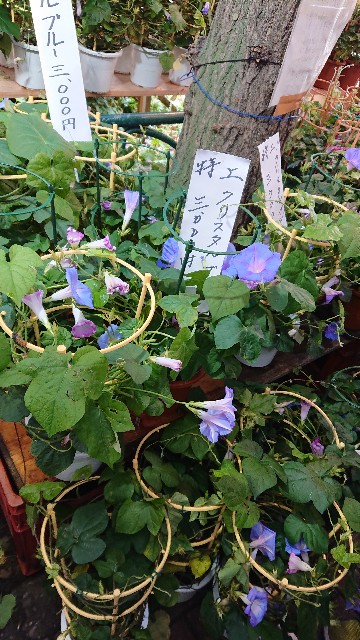 f:id:jabsport17:20190709113229j:image f:id:jabsport17:20190709113229j:image