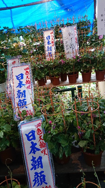 f:id:jabsport17:20190709113250j:image f:id:jabsport17:20190709113250j:image