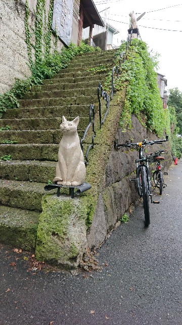 f:id:jabsport17:20190710213045j:image f:id:jabsport17:20190710213045j:image