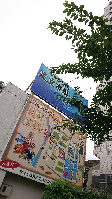 f:id:jabsport17:20190718221827j:image f:id:jabsport17:20190718221827j:image