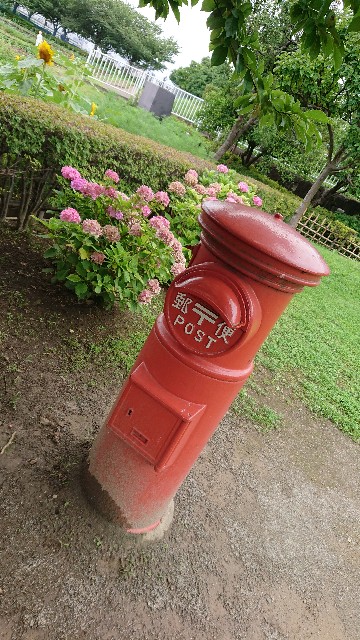 f:id:jabsport17:20190718222119j:image f:id:jabsport17:20190718222119j:image