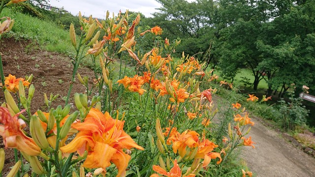 f:id:jabsport17:20190718222234j:image f:id:jabsport17:20190718222234j:image
