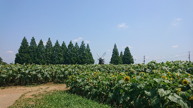 f:id:jabsport17:20190814141900j:image f:id:jabsport17:20190814141900j:image