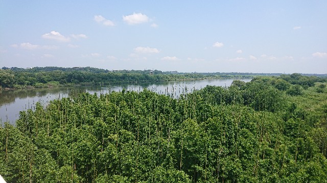f:id:jabsport17:20190814142207j:image f:id:jabsport17:20190814142207j:image