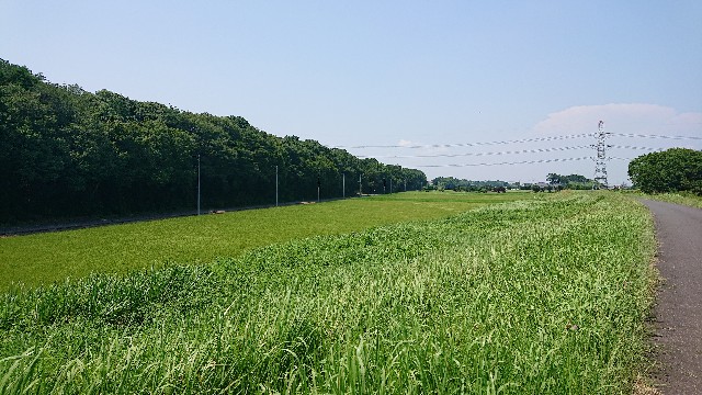 f:id:jabsport17:20190814142402j:image f:id:jabsport17:20190814142402j:image