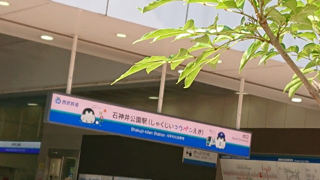 f:id:jabsport17:20190824100620j:image f:id:jabsport17:20190824100620j:image