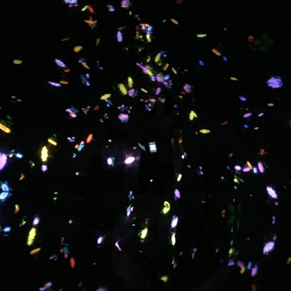 f:id:jacjac__jack:20160722140434j:plain f:id:jacjac__jack:20160722140434j:plain