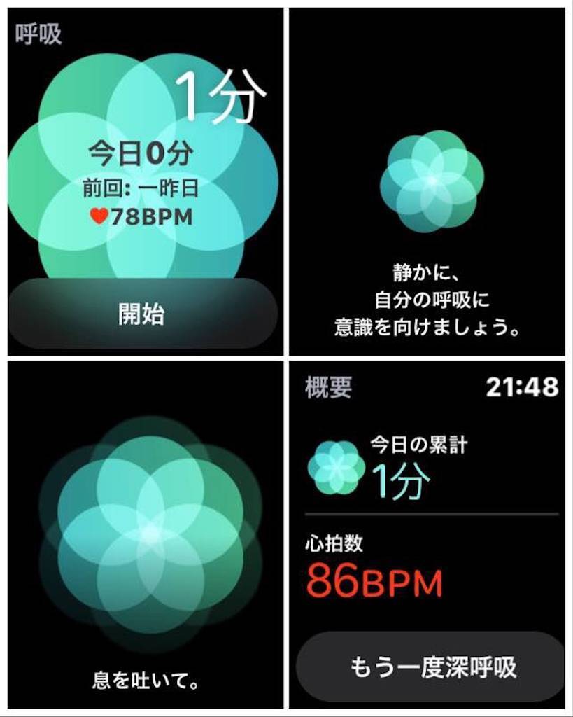 f:id:jack-hana:20181106231040j:image:w800 f:id:jack-hana:20181106231040j:image:w800