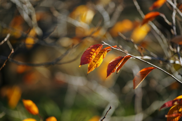 f:id:jack023:20101207215059j:image f:id:jack023:20101207215059j:image