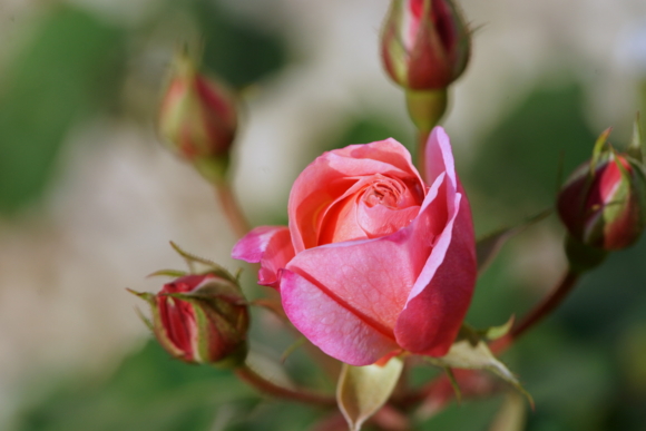 f:id:jack023:20101207215105j:image f:id:jack023:20101207215105j:image