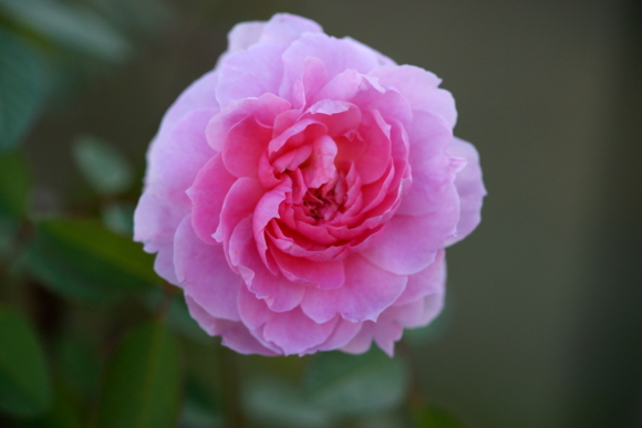 f:id:jack023:20101207215108j:image f:id:jack023:20101207215108j:image