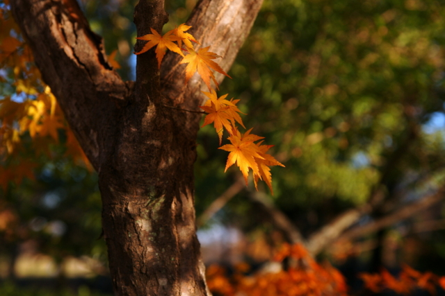 f:id:jack023:20130112000050j:image
