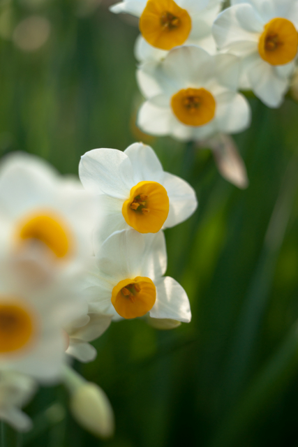 f:id:jack023:20130206223849j:image