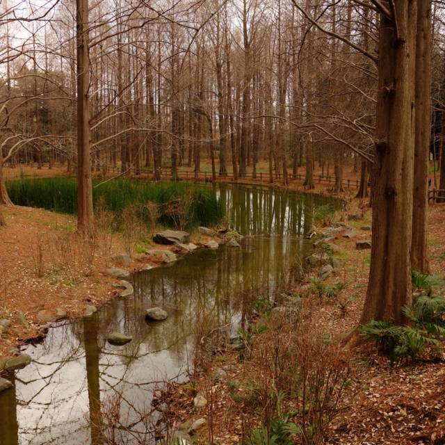 f:id:jack023:20130219172938j:image