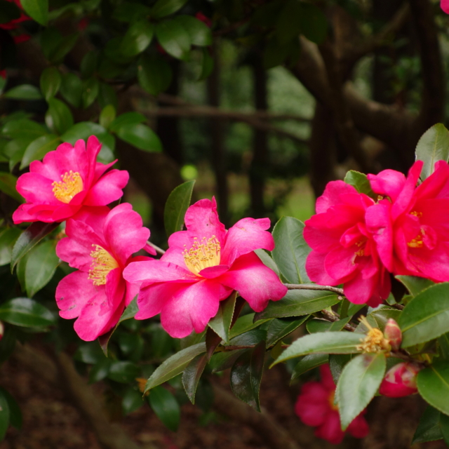 f:id:jack023:20130219173303j:image