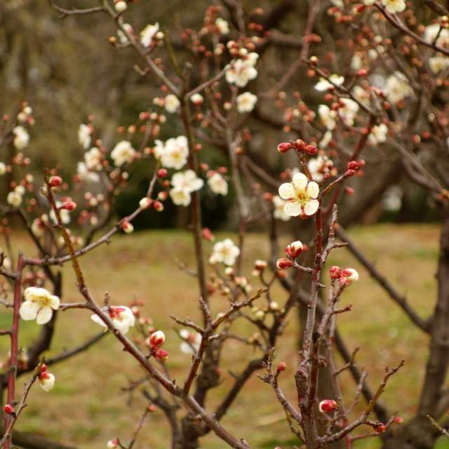 f:id:jack023:20130219173311j:image