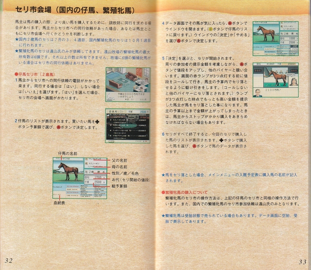 ステイブルスター 厩舎物語』1996年／スーパーファミコン