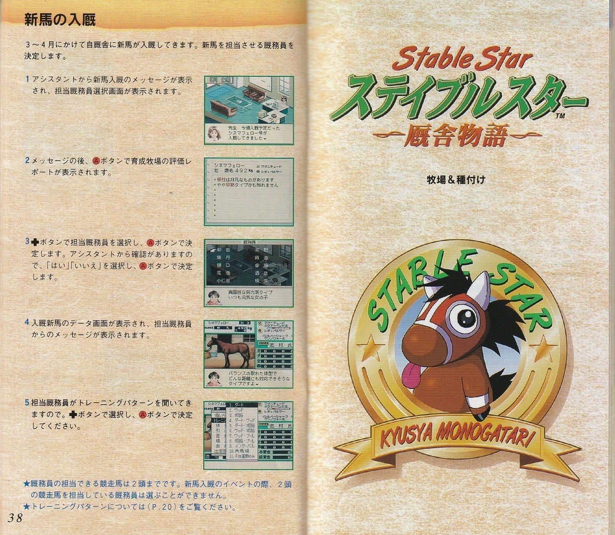 動作確認ステイブルスター厩舎物語スーパーファミコン用ソフト箱説明書ケース有激レア 動作確認ステイブルスター厩舎物語スーパーファミコン用ソフト箱