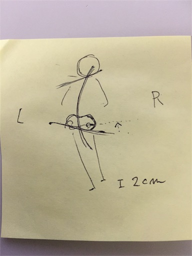 f:id:jackalope0420:20181029230157j:image f:id:jackalope0420:20181029230157j:image