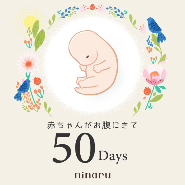 f:id:jackalope0420:20241126145801j:image