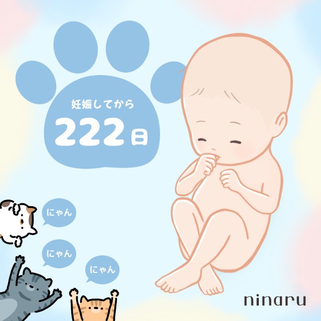 f:id:jackalope0420:20250517175209j:image