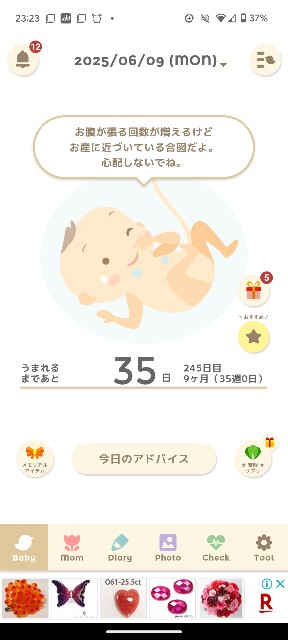 f:id:jackalope0420:20250609232354j:image
