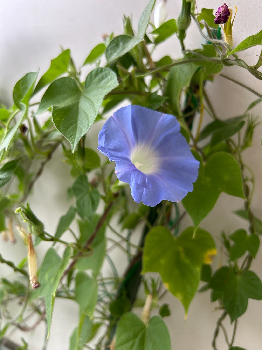 f:id:jackie-blog:20251029123742j:image f:id:jackie-blog:20251029123742j:image