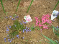 f:id:jackymack:20110410172916j:image f:id:jackymack:20110410172916j:image