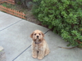 f:id:jackymack:20120413151926j:image:medium:left f:id:jackymack:20120413151926j:image:medium:left