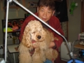 f:id:jackymack:20130228214331j:image:medium:right f:id:jackymack:20130228214331j:image:medium:right