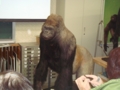 f:id:jackymack:20130319212636j:image:medium:right f:id:jackymack:20130319212636j:image:medium:right