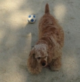 f:id:jackymack:20130527215355j:image:medium:right f:id:jackymack:20130527215355j:image:medium:right