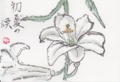 f:id:jackymack:20130615225310j:image:medium:right f:id:jackymack:20130615225310j:image:medium:right