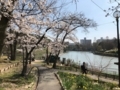 f:id:jackymack:20180402195938j:image:medium:right f:id:jackymack:20180402195938j:image:medium:right