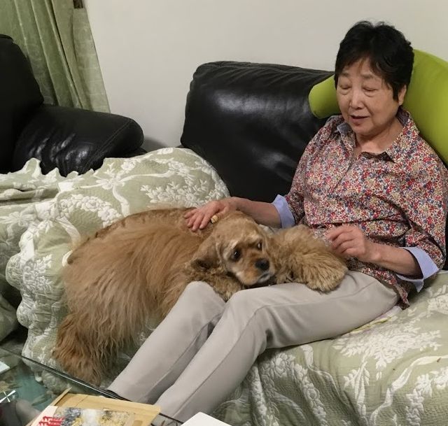 f:id:jackymack:20190516212057j:plain f:id:jackymack:20190516212057j:plain