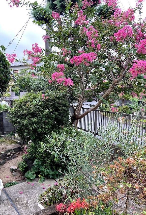 f:id:jackymack:20210904210632j:plain