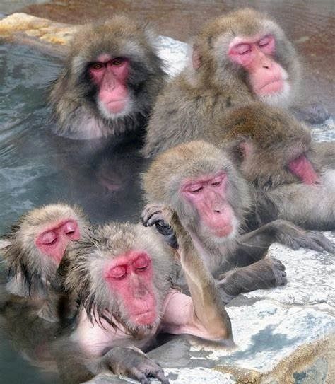 f:id:jackymack:20211215205826j:plain