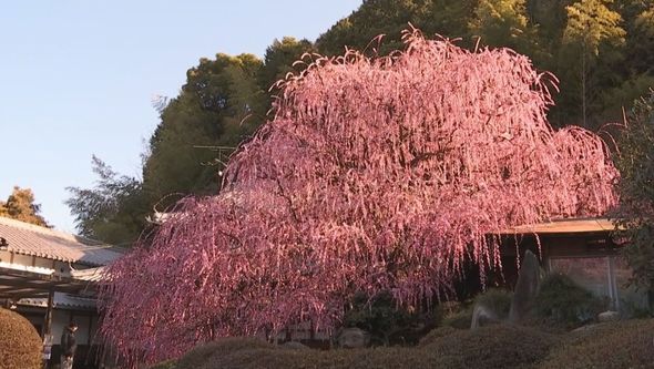 f:id:jackymack:20220307202449j:plain