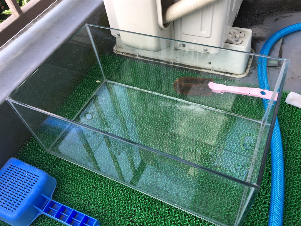 f:id:jacoeri:20170603062340j:image