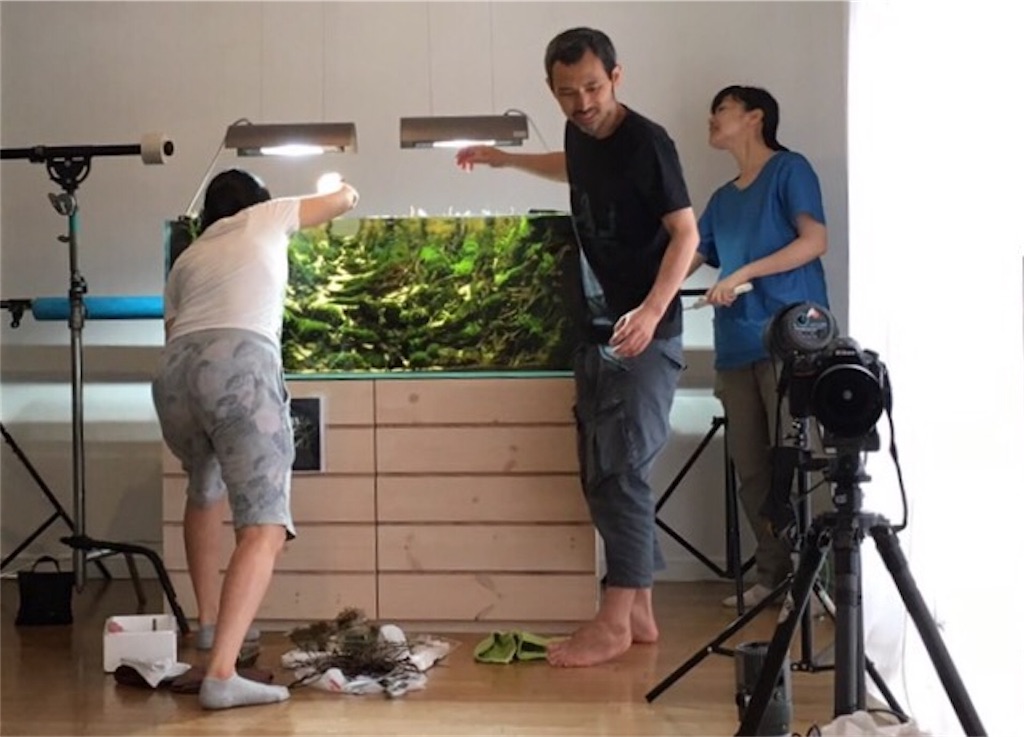 f:id:jacoeri:20170701163143j:image