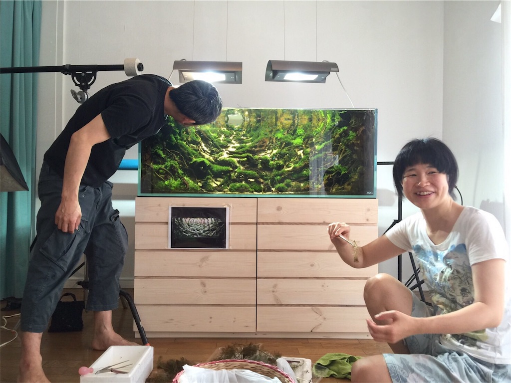 f:id:jacoeri:20170703172527j:image