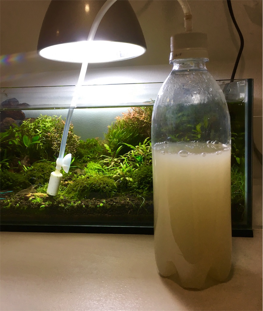 f:id:jacoeri:20180614153923j:image